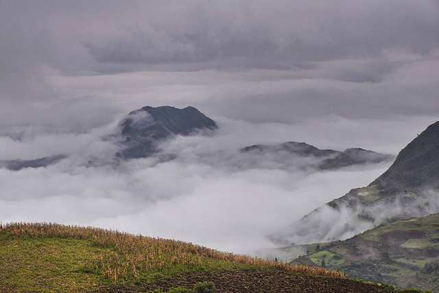 Dizi Highlands, Sth Ethiopia (50647997717)