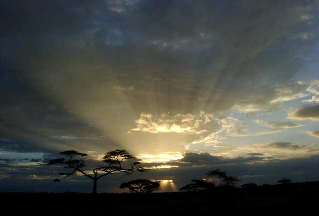 Serengeti sunset, Tanzania