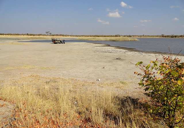 Hwange National Park, Zimbabwe (48595113747)