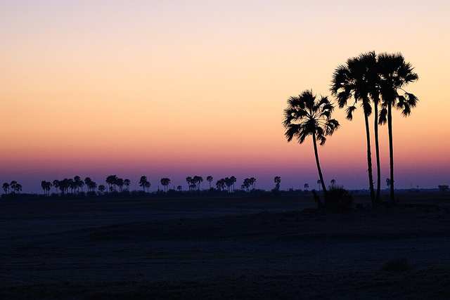 Desert Sunrise - Makgadikgadi salt pans