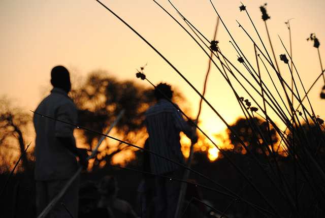 Sunset and mokoros in the Okavango Delta - Botswana - panoramio