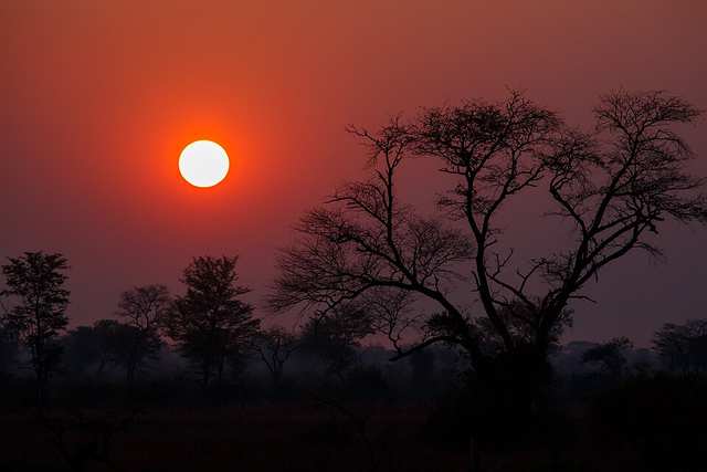 Sunrise in South Luangwa National Park